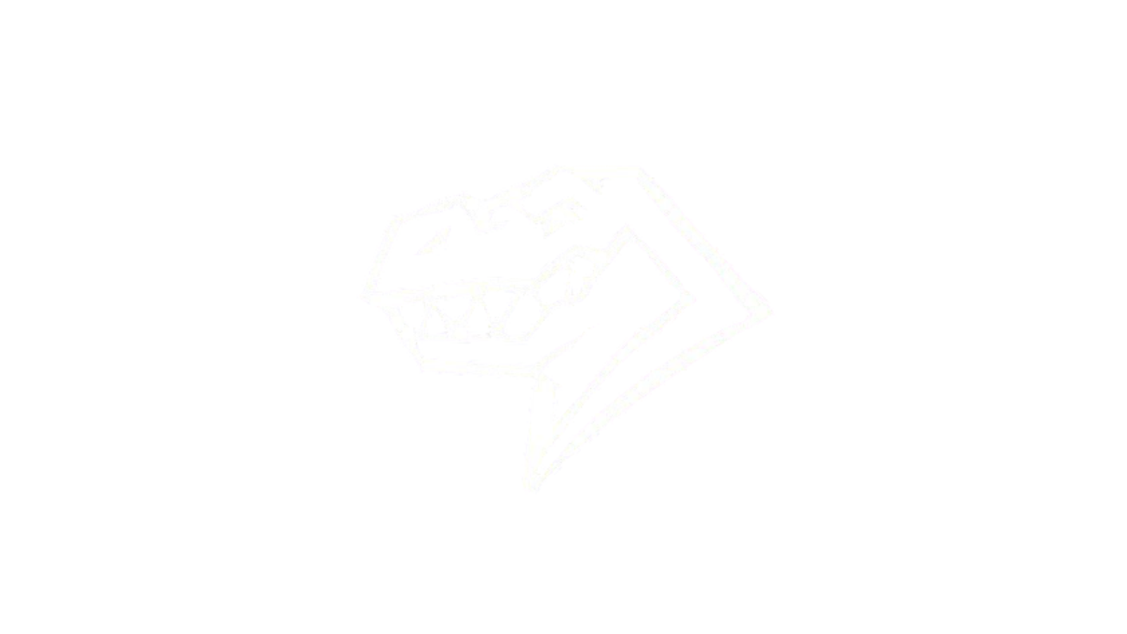 TREX - Dravanti Group Institutional Partner Logo